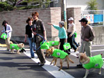 道路を6人の愛犬パトロール隊が黄緑色のユニフォームを着た犬を連れ歩いている写真