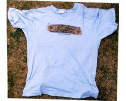青色Tシャツ(KIKI)の写真