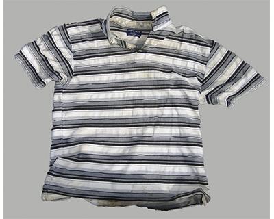 白色ボーダーTシャツの写真
