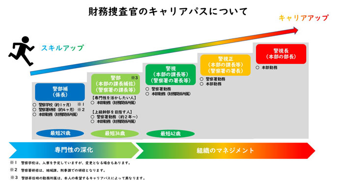 財務捜査官のキャリアパスについての図解です。