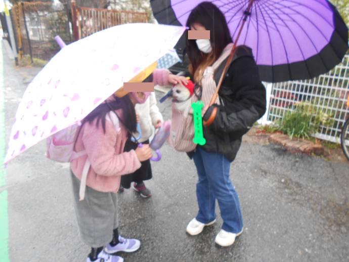 傘を差した、松原わんわんパトロール隊・ボランティアの方が肩から鞄を下げ、その中に犬が入り、顔だけ出してる犬の頭を下校中の女の子が撫でている写真