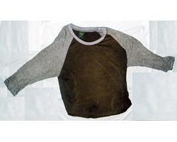 深緑色Tシャツの写真
