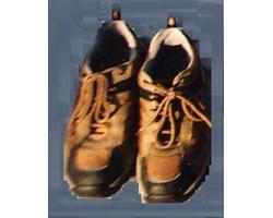 茶色運動靴（26.5センチ）の写真
