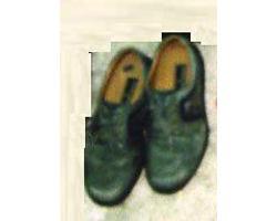 緑色紐靴（25.0センチ）の写真