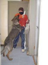 けいかいくんれん1の写真