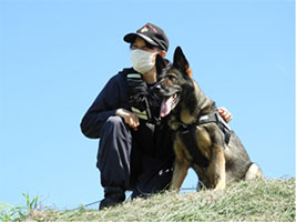 警備犬ハンドラーと警備犬の写真