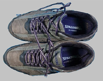 灰色運動靴（スポルディング製、25.5センチメートル）
