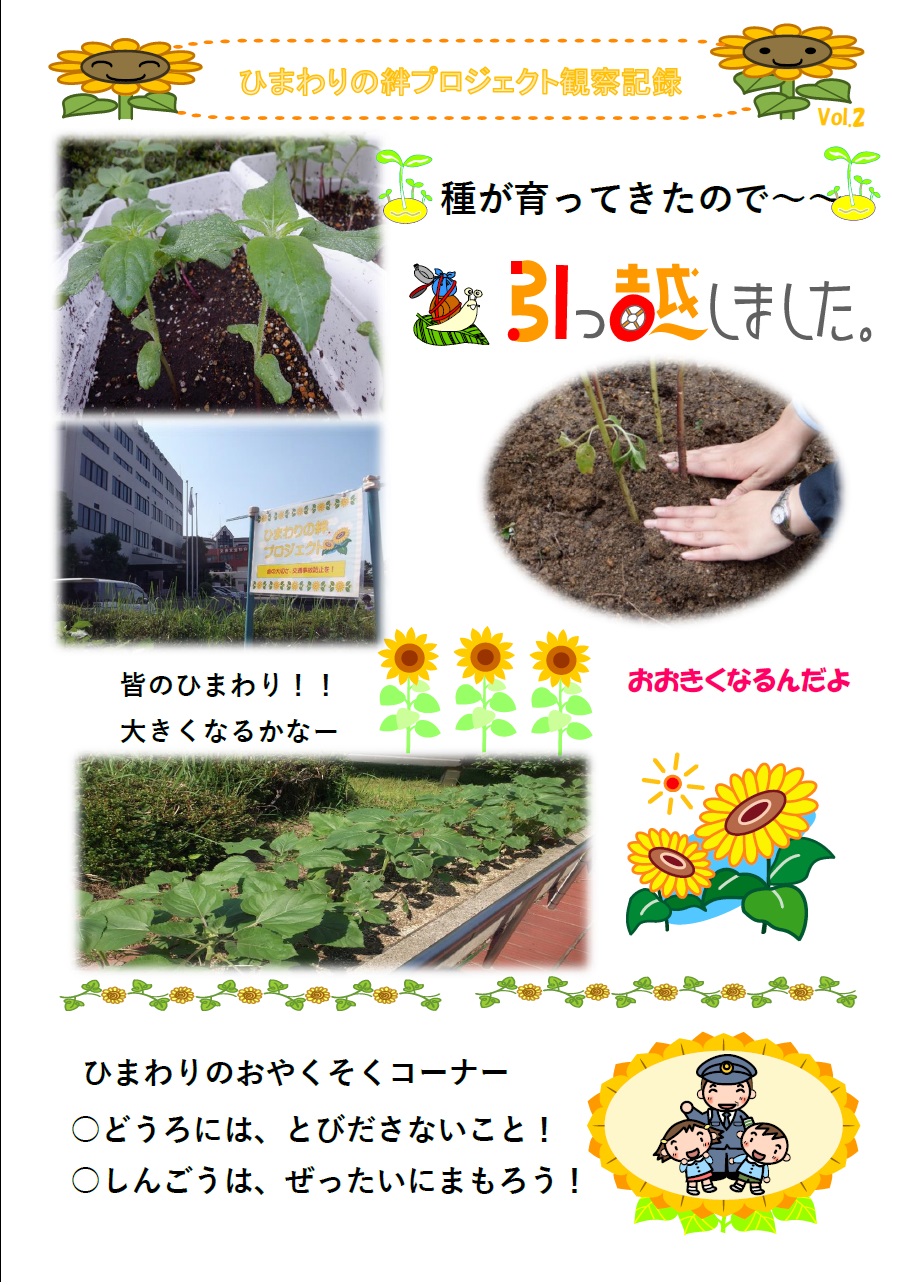 R8ひまわり2